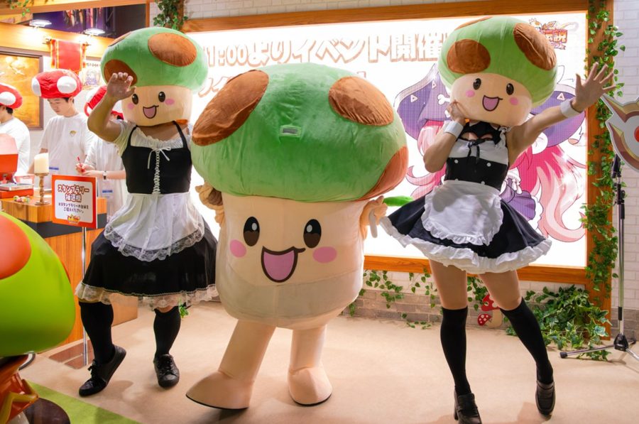 きのこ伝説 2025 TGS
